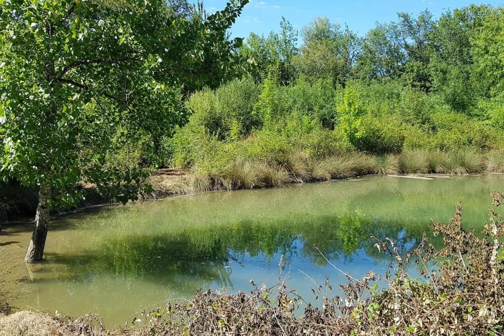 Gite De Campagne L'Estressol Cuq  Exterior foto